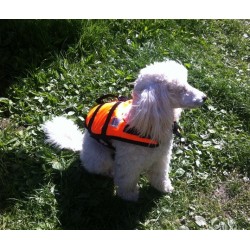 Plovací vesta pro psa - signální oranžová