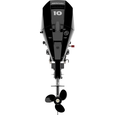 Motor Mercury F 10