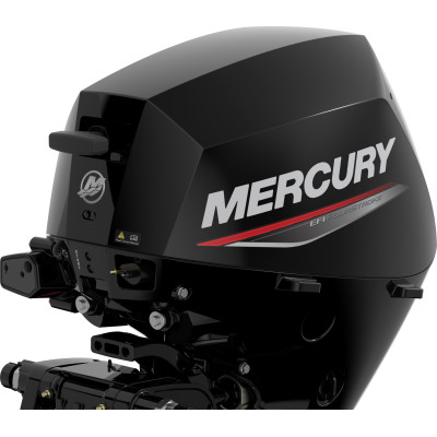 Motor Mercury F 10