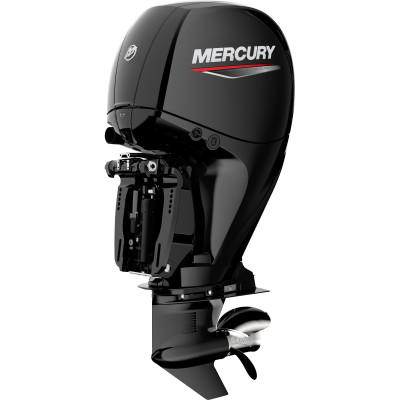 Motor Mercury F 150