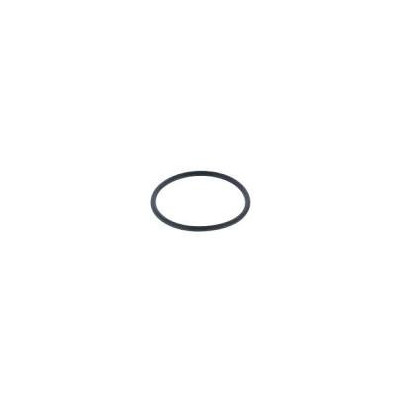 O-ring 16918-ZZ5-003 pro Honda